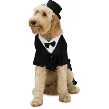 Dapper Dog Pet Costume BUY